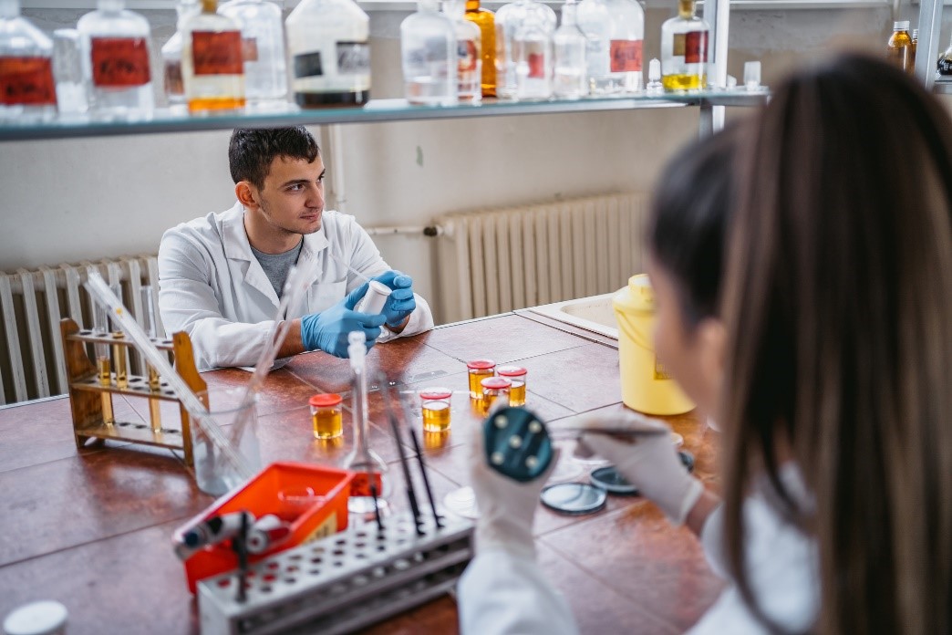 What You Need to Know About Drug Testing Consortium Drug Screen